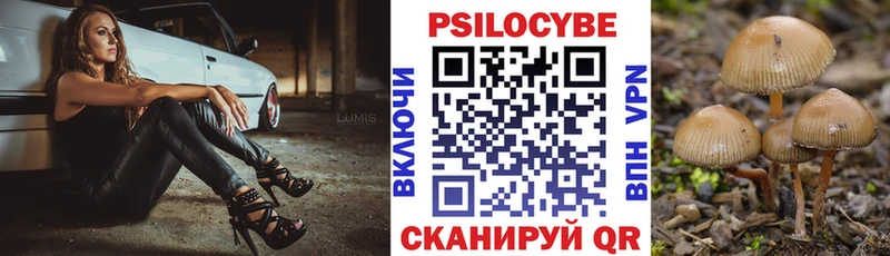 Галлюциногенные грибы мицелий Осинники