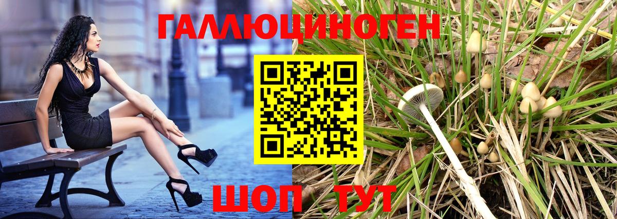 Псилоцибиновые грибы Magic Shrooms Осинники